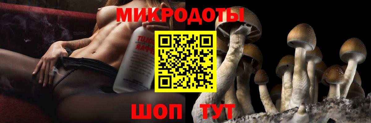 Псилоцибиновые грибы Cubensis Балабаново